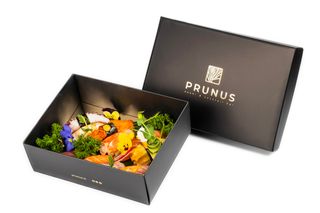 Box nigiri - 15 pezzi