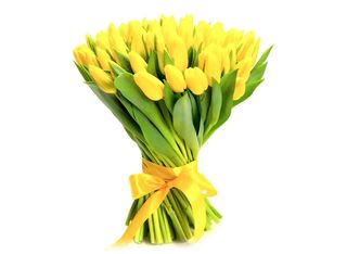 Жълти Лалета 51 Бр