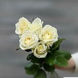 5 білих троянд