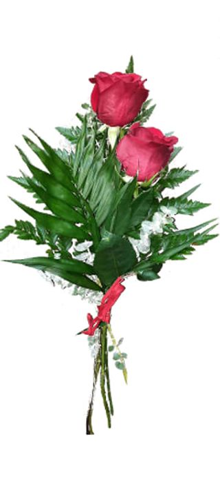 Ramo De 2 Rosas Rojas