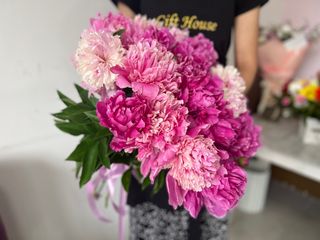 თაიგული 52