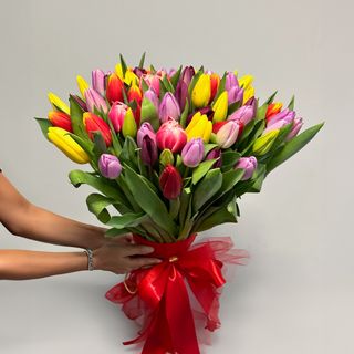 Kolorowe Tulipany - 15 sztuk