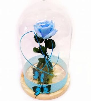 Bella y la bestia azul