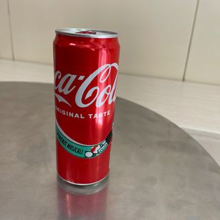 Coca-Cola Lattina 330 ml
