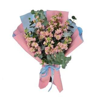 Buchet 9 mathiola colorate