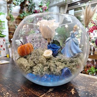 Pecera "Hada Madrina"