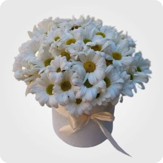 გვირილები ყუთში