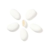 Avola 37/38 Bianca Monodose 500 G