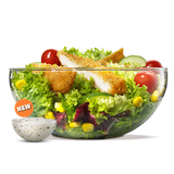 Chicken Crispy Salad