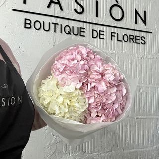 3 Колумбійських гортензій