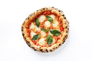 Margherita Junior