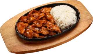 PIept de pui in sos Teriyaki