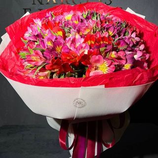 Альстромерія 