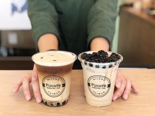 C6/Pucaccino inseparabili tè milk tea