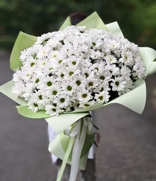 Bukiet biała margaretka -15szt