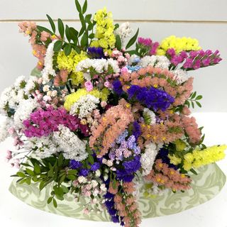  032-SIMPRE VIVAS,PARA DEJARLAS SECAR!