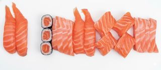 bento Salmon lover