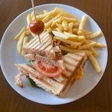 Tost sendvič sa pršutom