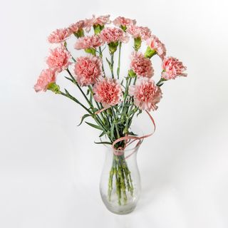 Bukiet z goździków 