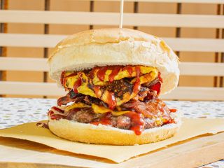 Succulent - CodArt: 66