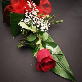 ROSA IN  BELLISSIMA CONFEZIONE