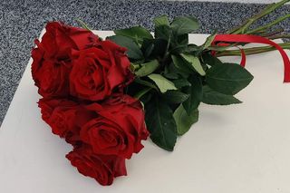 Червени рози (9бр.)
