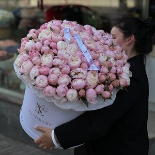 Півонії в боксі