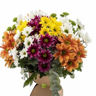 Ramo variado de margaritas de colores.