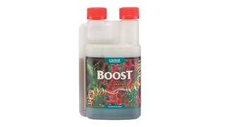 CANNABOOST Accelerator 250 მლ