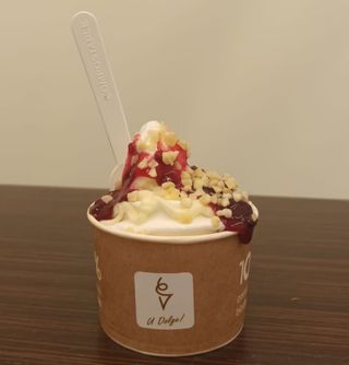 Yogurt grande 170 gr con Variegati Vegan Selection