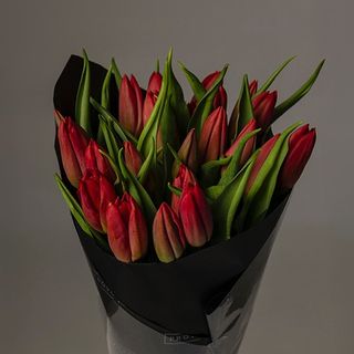 Ramo De 20 Tulipanes Rojos