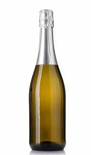 Dom Perignon 2004 Limited Edition by Iris Van Herpen