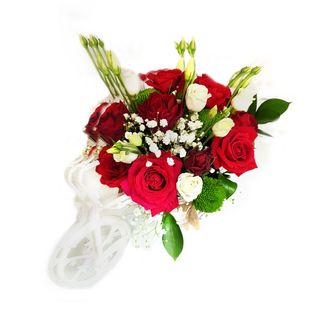 Bicicletă elegantă 