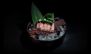 160. Sashimi Suzuki (6 Pzs.)