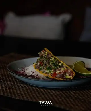 Taco Salmão