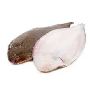 Sole Friture
