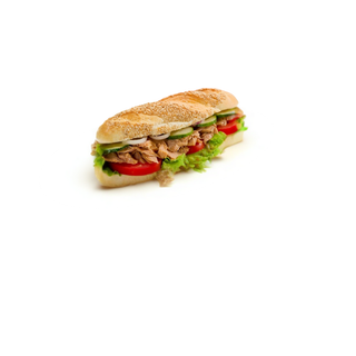 Panini Thon
