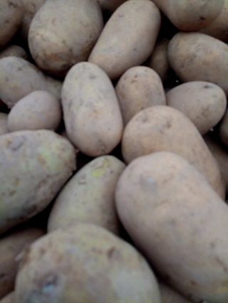 Patata ecologica (1 kg.)