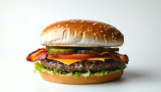 Fillet burger singolo