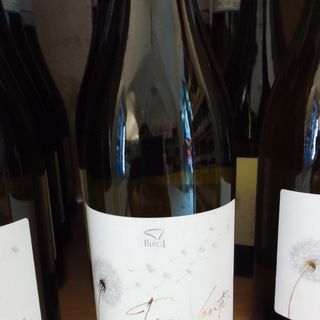 Grillo Doc Tre Venti Cantine Birgi