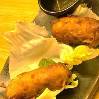 Rollitos Vietnamitas -fritos-