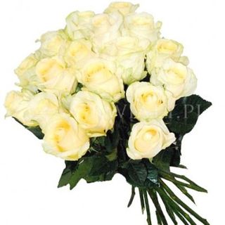 20 białych róż