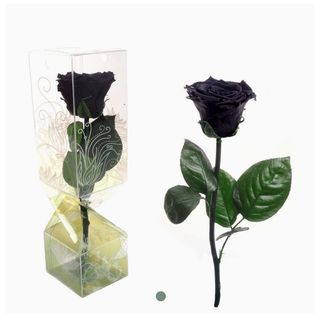 Rosa Eterna Negra Pequeña