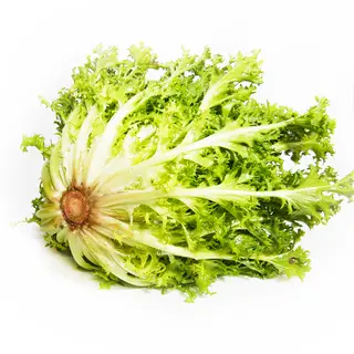 Scarola riccia 1 pezzi
