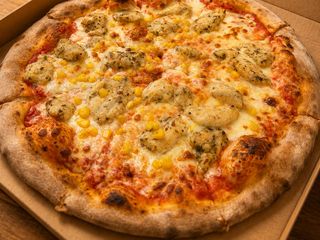 Pizza Pollo