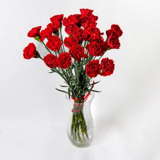 Bukiet z goździków 