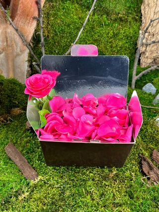 Pétales de Roses Fuchsia