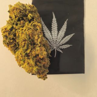 CBD Cvijet Gorilla Glue, 2g