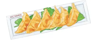 GYOZA CLASSICO 6PZ