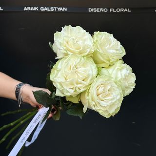 Ramo de 5 Rosas Blanco